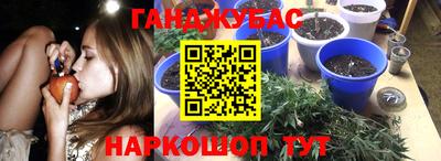 прущая мука Кимры