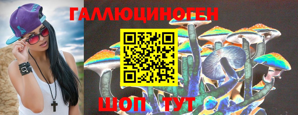 Шатура  Псилоцибиновые грибы Magic Shrooms  Псилоцибиновые грибы Psilocybe  Вход с VPN 